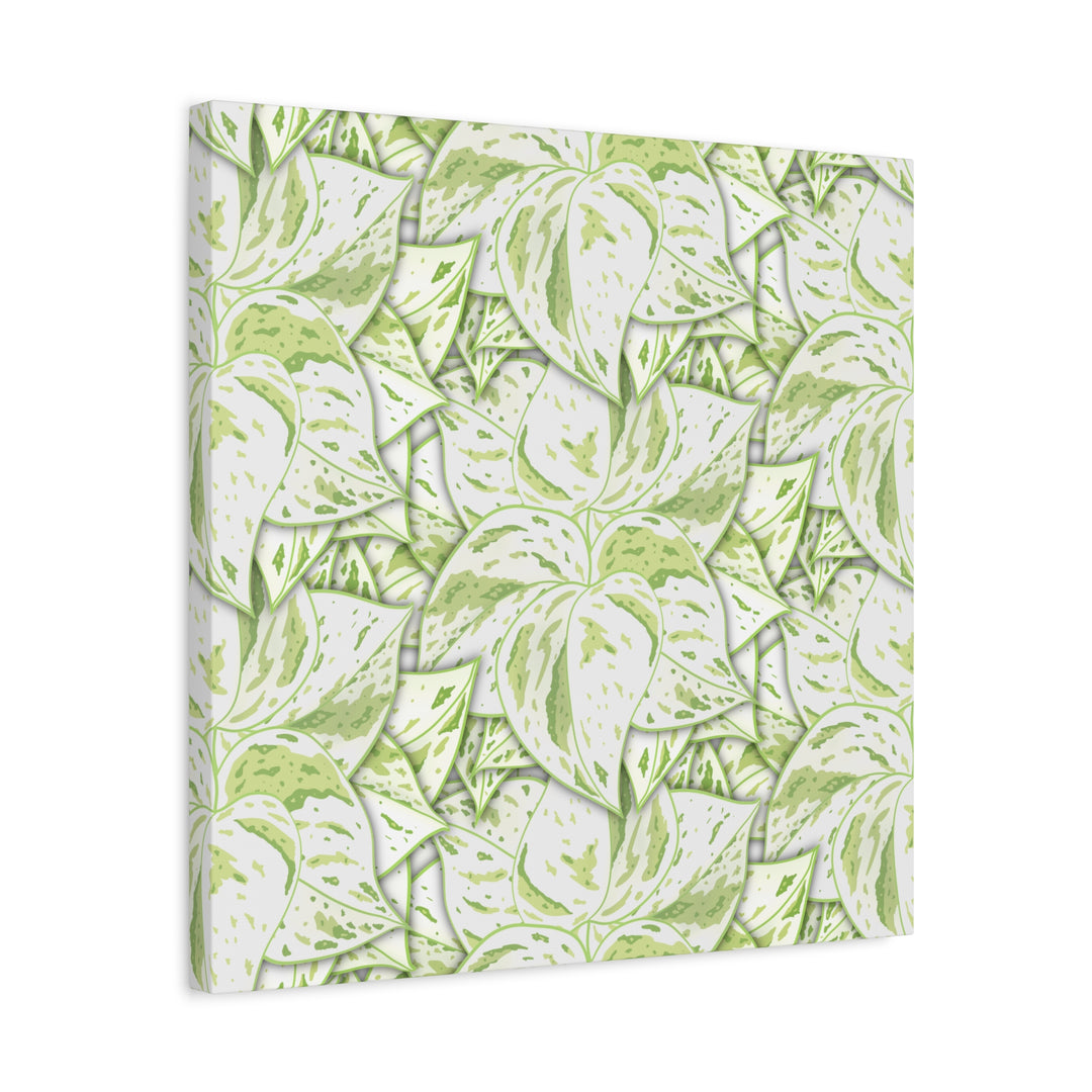 Snow Queen Pothos Canvas Print With Variegated White Leaves In Matte Finish For Modern Home Decor