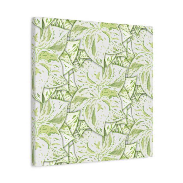 Snow Queen Pothos Canvas Print With Variegated White Leaves In Matte Finish For Modern Home Decor
