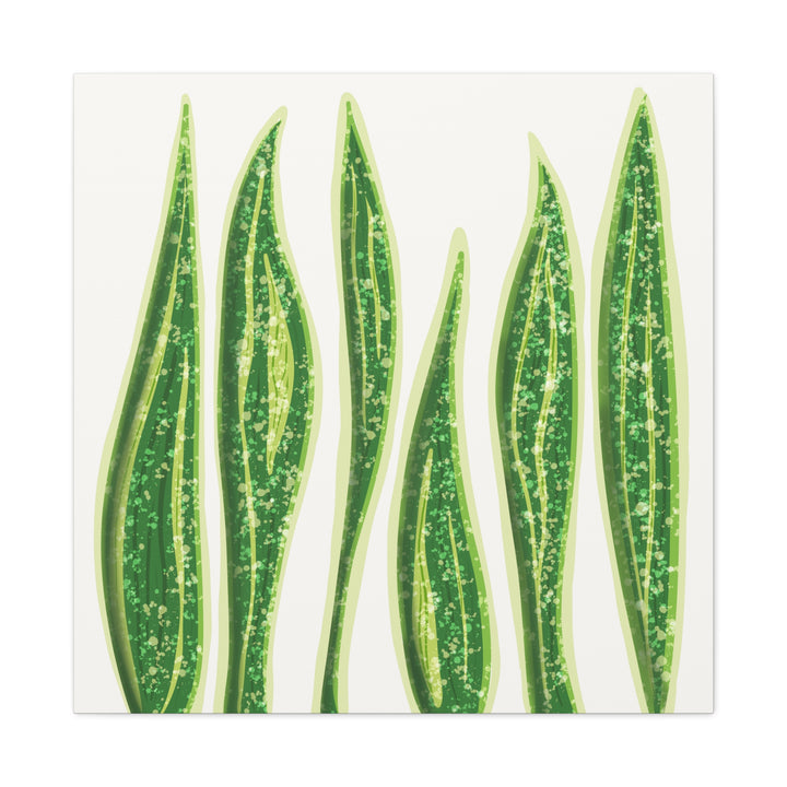 Snake Plant Canvas Print Matte 1.25 Inch Stretch Canvas Wall Art For Living Room Decor