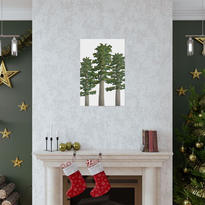 Sitka Spruce Print – Unframed Wall Art
