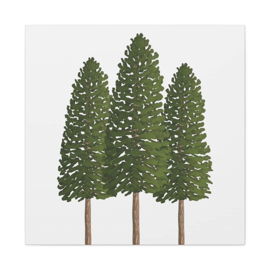 Three Ponderosa Pine Canvas Wall Art Matte Stretched Print Minimalist Forest Landscape Decor