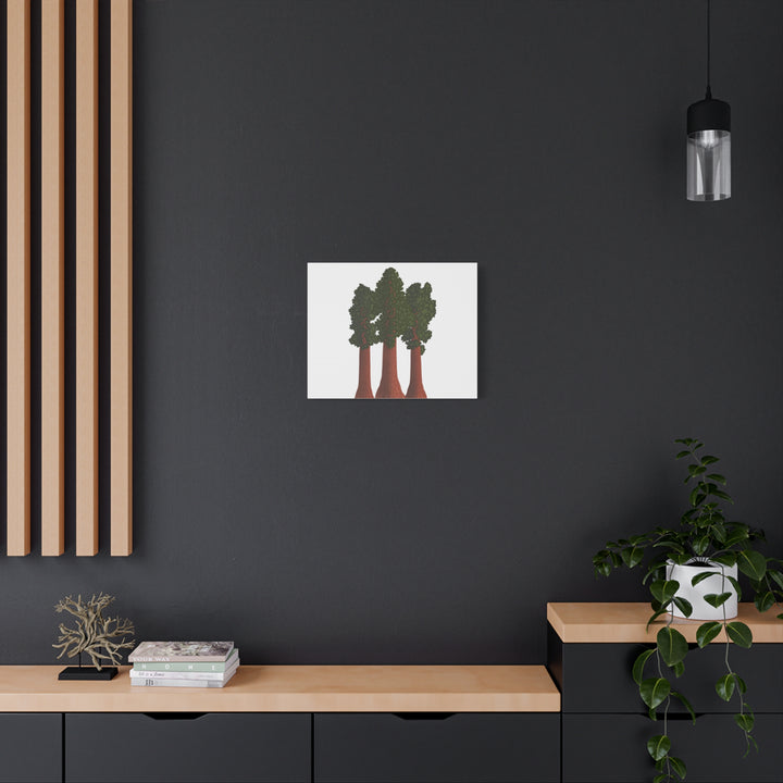 Giant Sequoias Canvas Print – Wall Art