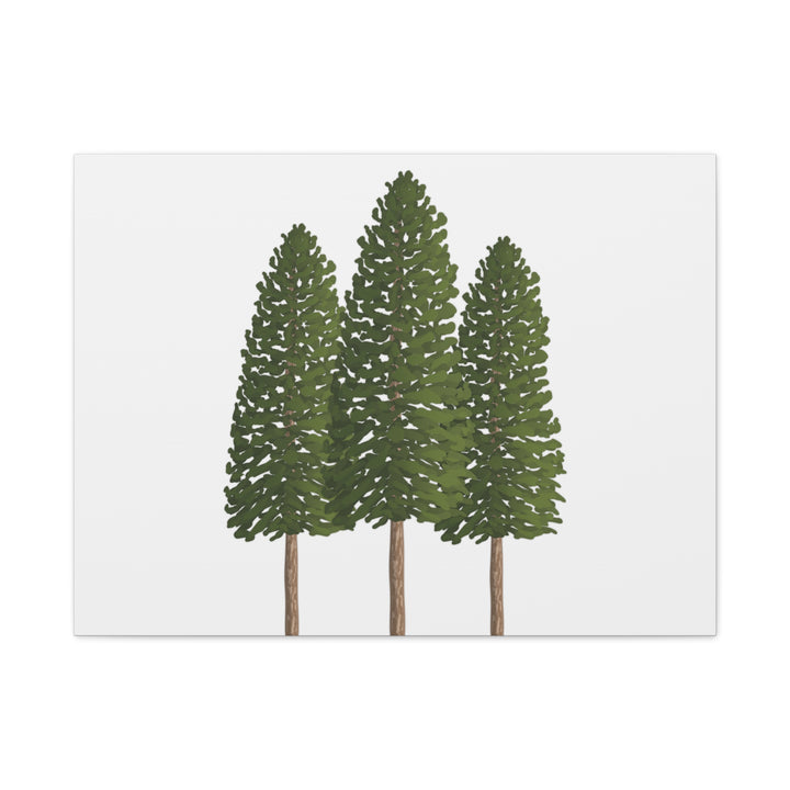 Three Ponderosa Pine Canvas Wall Art Matte Stretched Print Minimalist Forest Landscape Decor