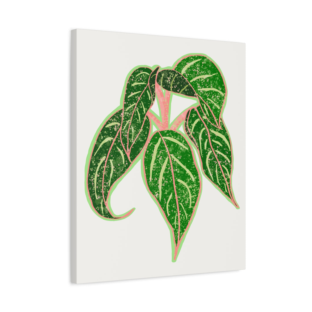 Aglaonema Sparkling Sarah Botanical Canvas Print On Matte Stretch Canvas For Modern Living Room Decor