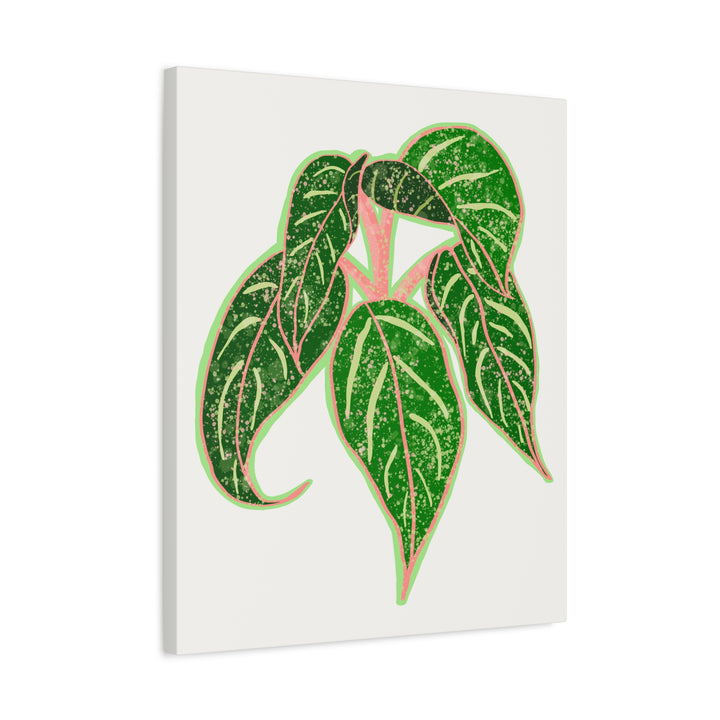 Aglaonema Sparkling Sarah Botanical Canvas Print On Matte Stretch Canvas For Modern Living Room Decor