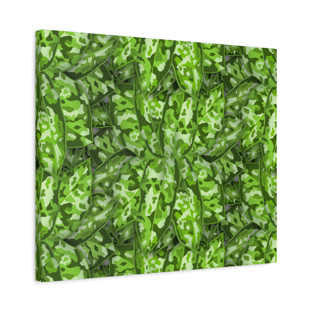 Aglaonema Pictum Canvas Wall Art Rare Plant Print Matte Finish For Modern Home Decor