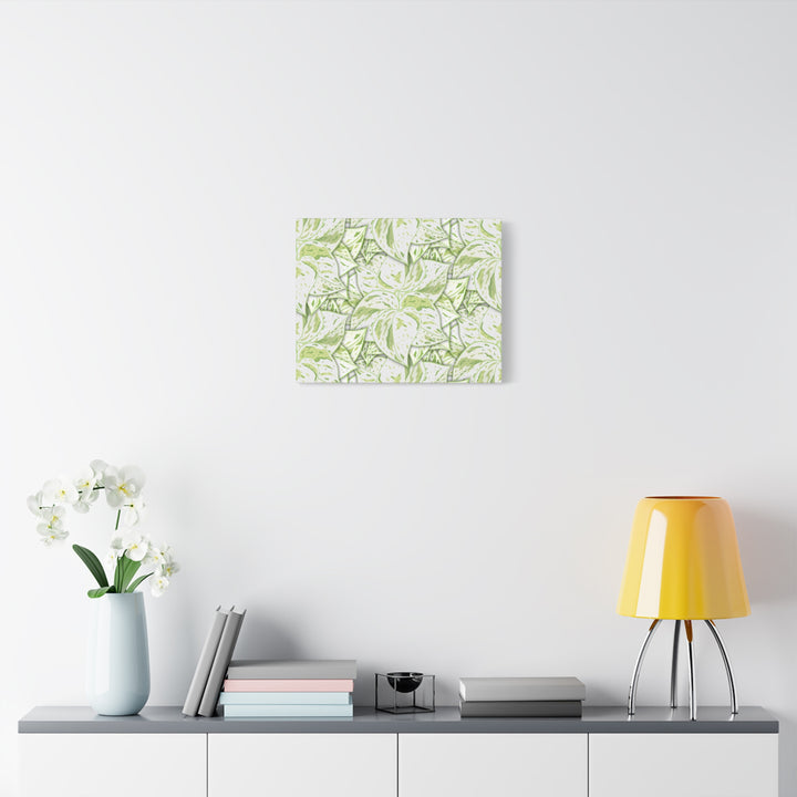 Snow Queen Pothos Canvas Print With Variegated White Leaves In Matte Finish For Modern Home Decor