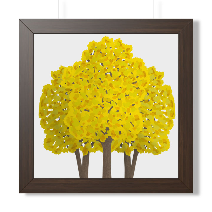 Big Leaf Maple Framed Print – Wall Art