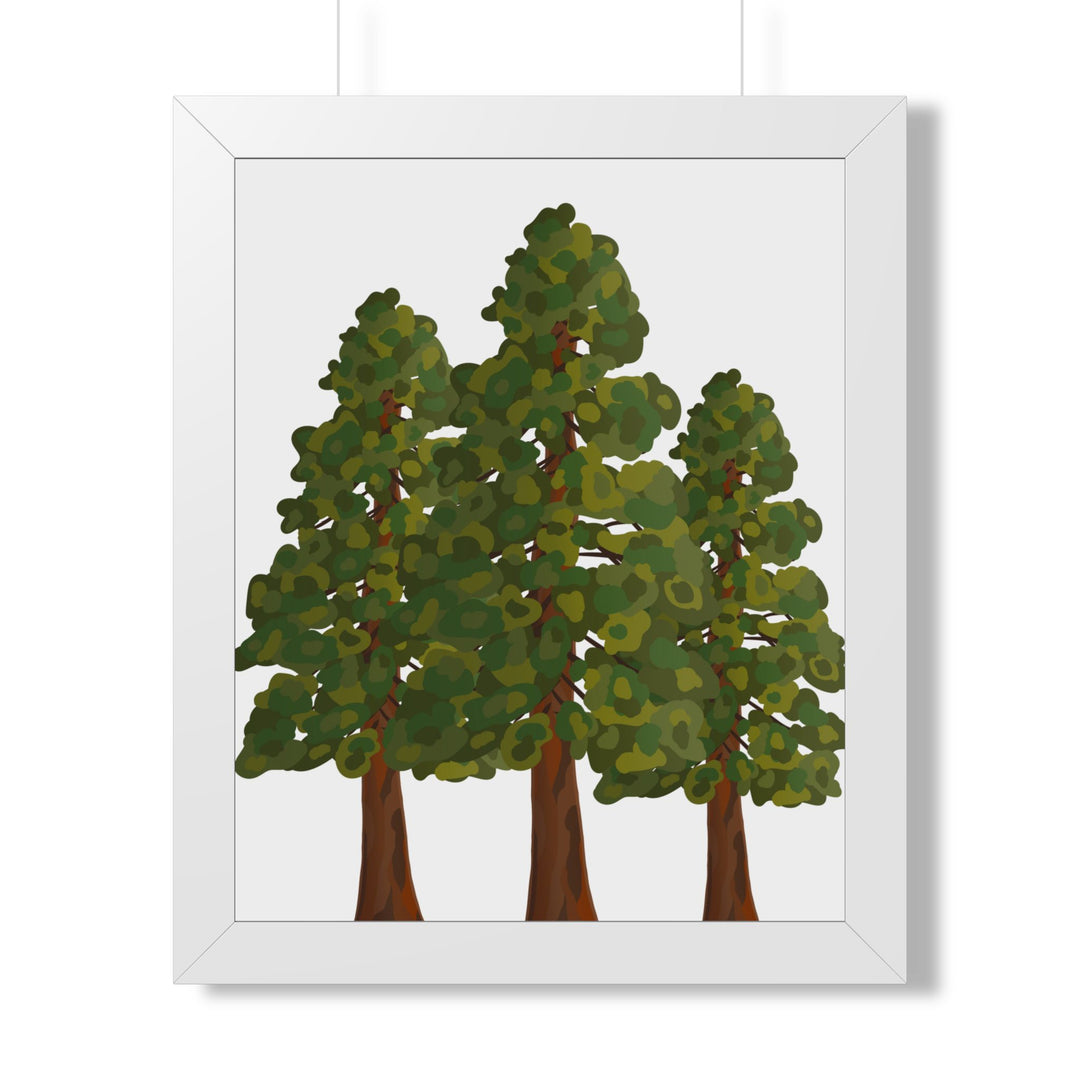 Coastal Redwood Framed Print – Wall Art
