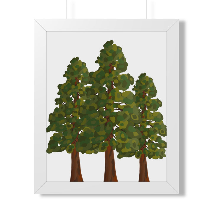 Coastal Redwood Framed Print – Wall Art