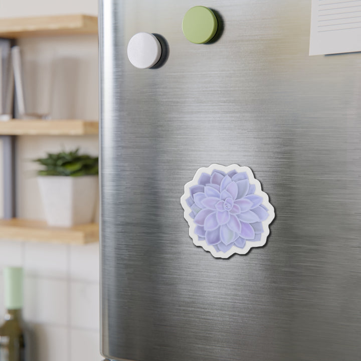 Graptopetalum Murasaki Succulent Magnet
