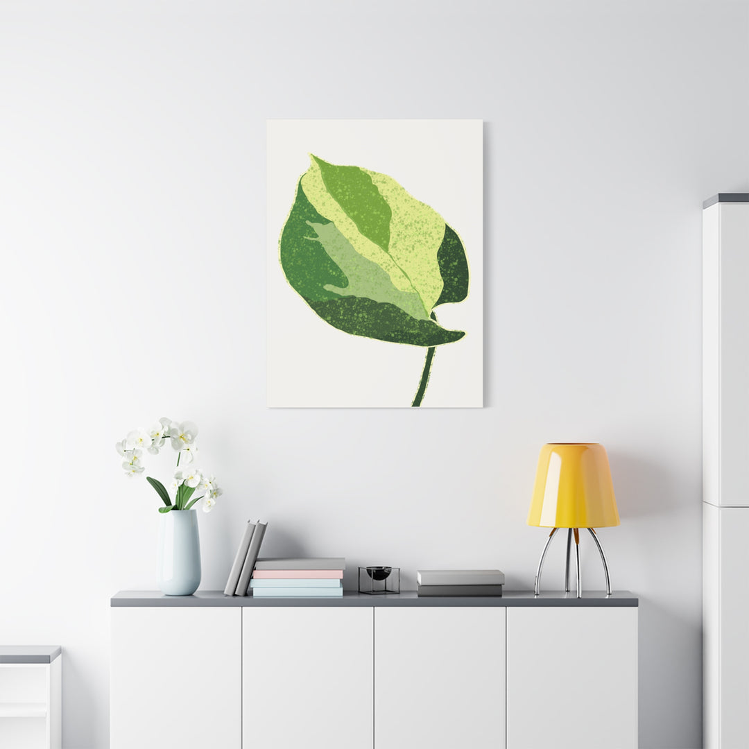 Manjula Pothos Botanical Canvas Print Matte Finish Stretched Canvas Wall Art 1.25 Inch Depth