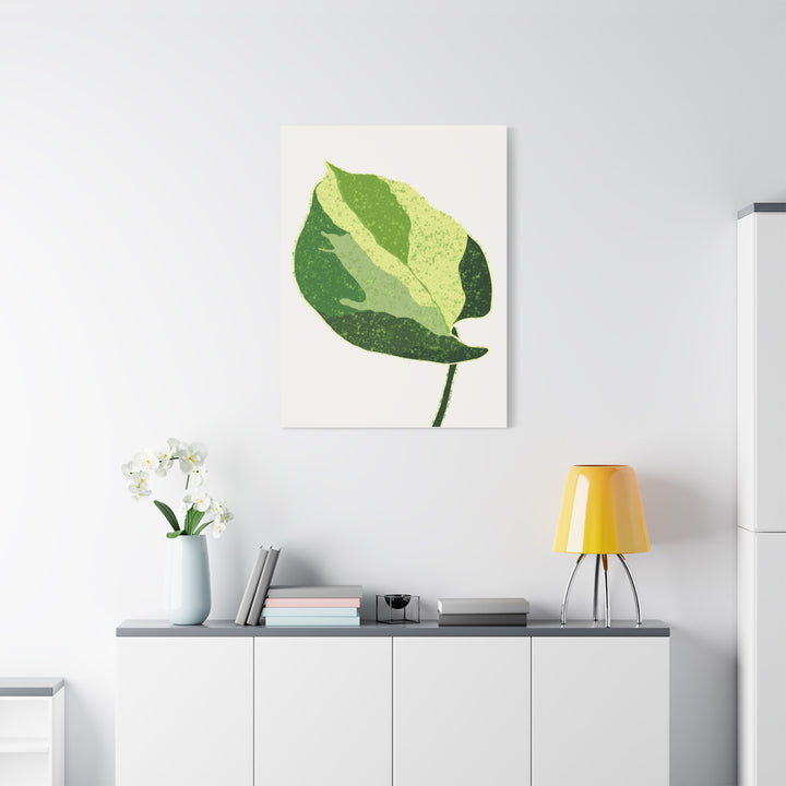 Manjula Pothos Botanical Canvas Print Matte Finish Stretched Canvas Wall Art 1.25 Inch Depth