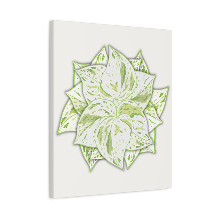Snow Queen Pothos Canvas Wall Art Variegated Indoor Plant Leaf Poster Print Cotton Canvas