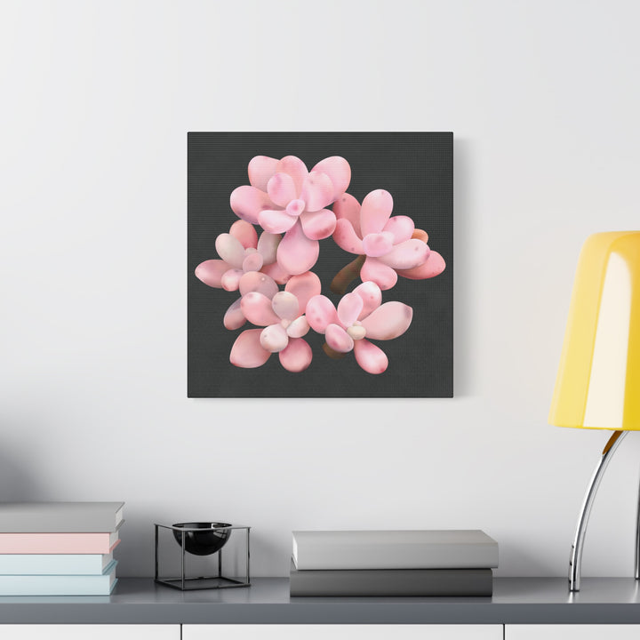 Pink Moonstone Canvas Print – Botanical Wall Art