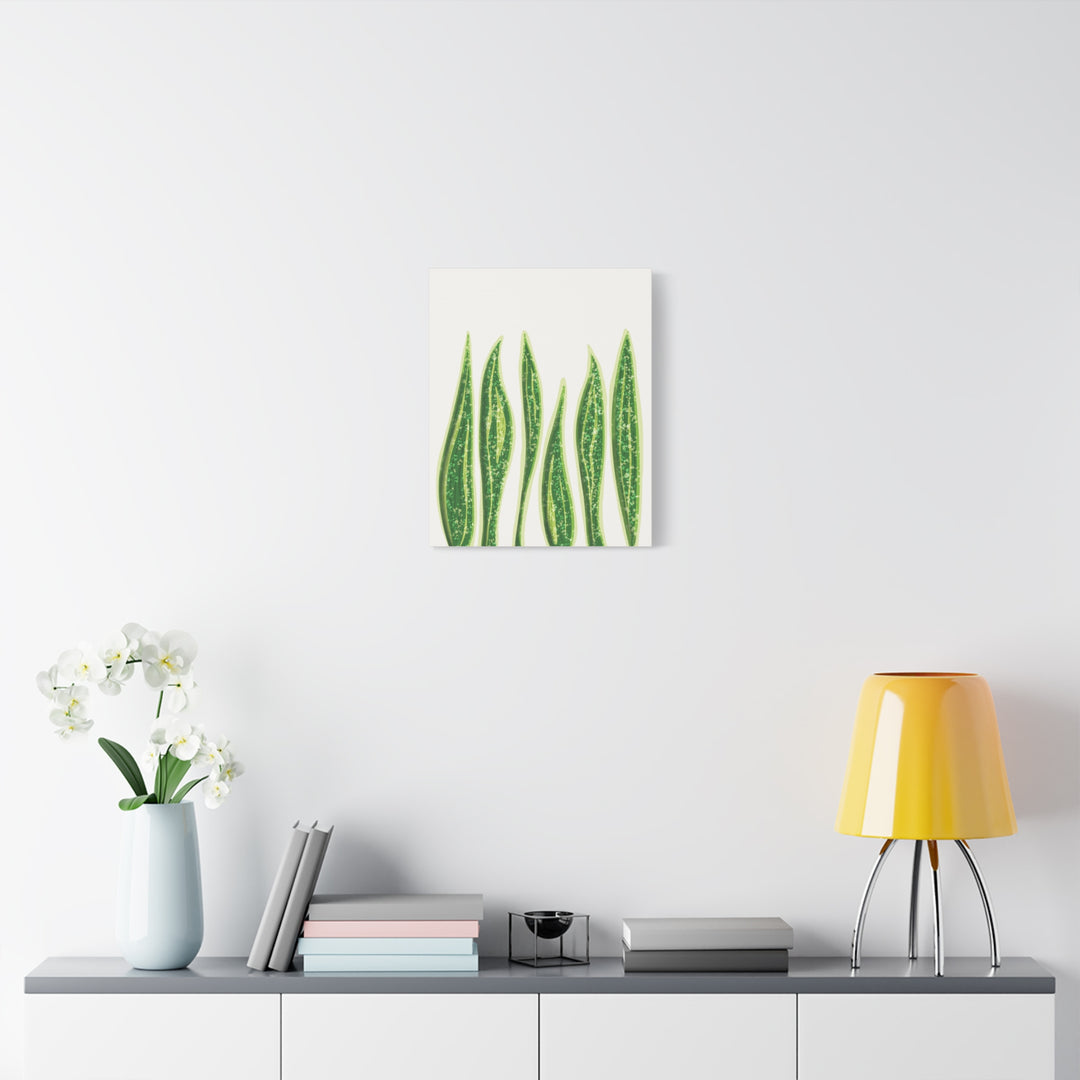 Snake Plant Canvas Print Matte 1.25 Inch Stretch Canvas Wall Art For Living Room Decor