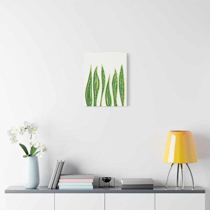 Snake Plant Canvas Print Matte 1.25 Inch Stretch Canvas Wall Art For Living Room Decor