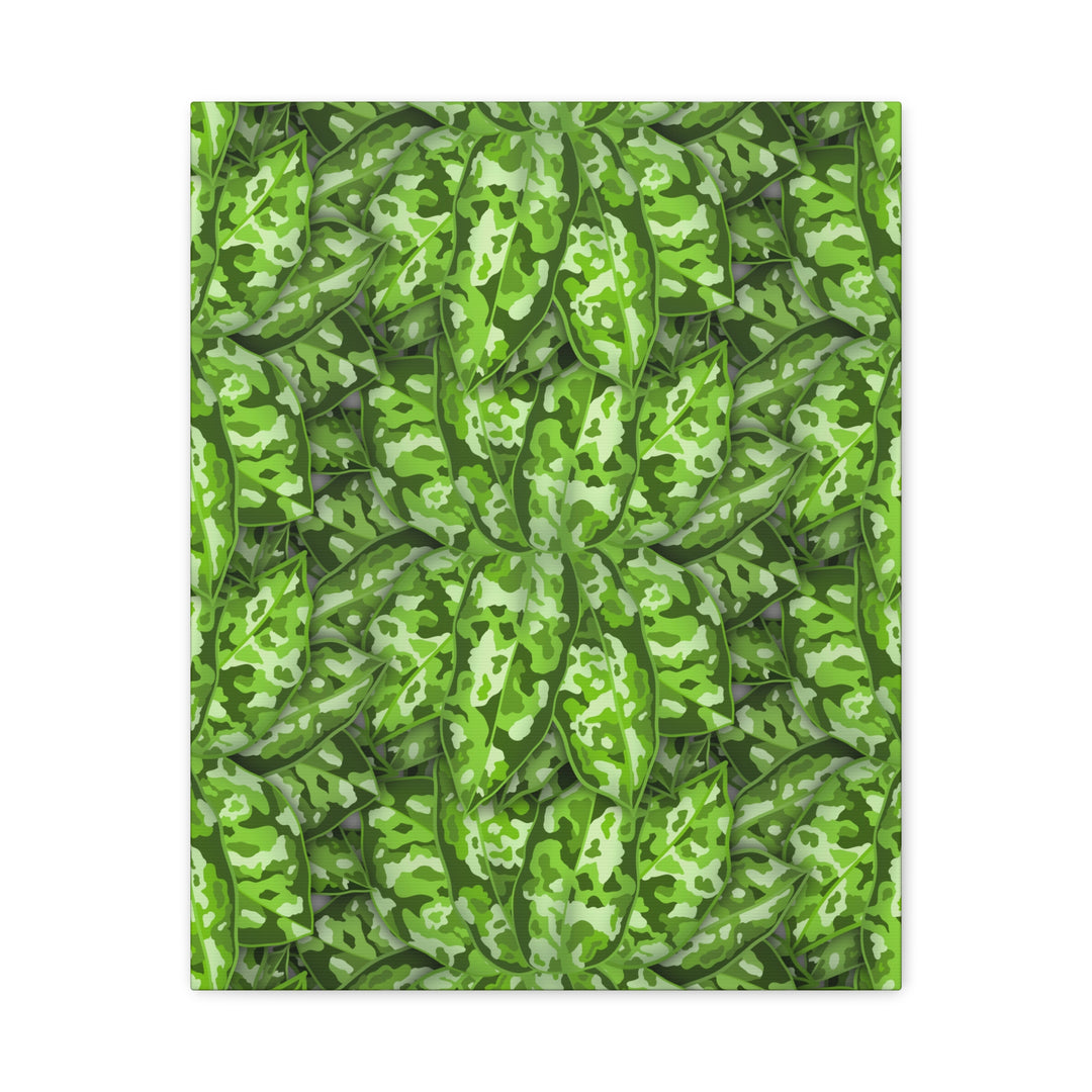 Aglaonema Pictum Canvas Wall Art Rare Plant Print Matte Finish For Modern Home Decor