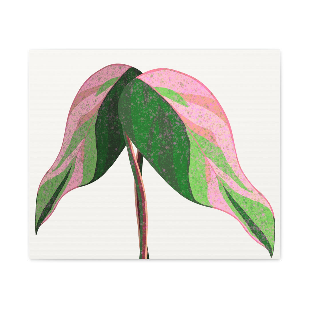 Pink Princess Philodendron Canvas Print Botanical Wall Art For Indoor Decor Modern Living Room Poster