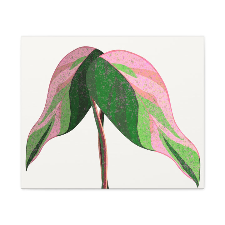 Pink Princess Philodendron Canvas Print Botanical Wall Art For Indoor Decor Modern Living Room Poster