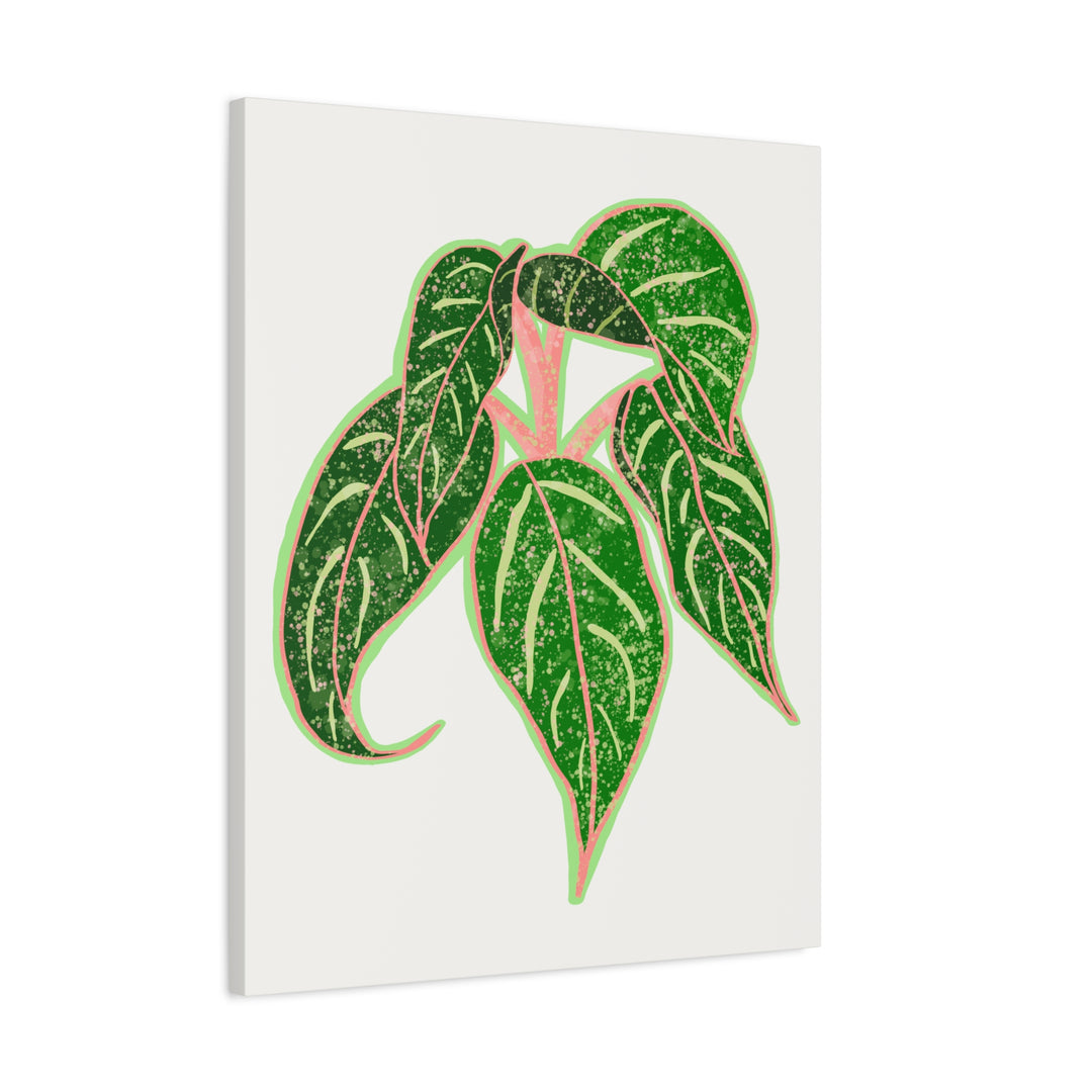 Aglaonema Sparkling Sarah Botanical Canvas Print On Matte Stretch Canvas For Modern Living Room Decor