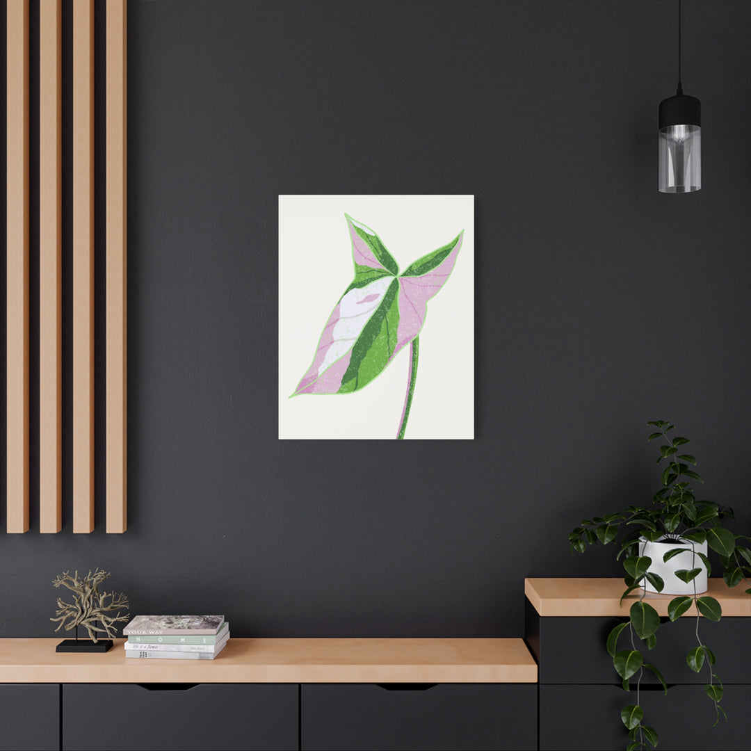 Syngonium Tricolor Canvas Print – Botanical Wall Art - The Potted Pixel