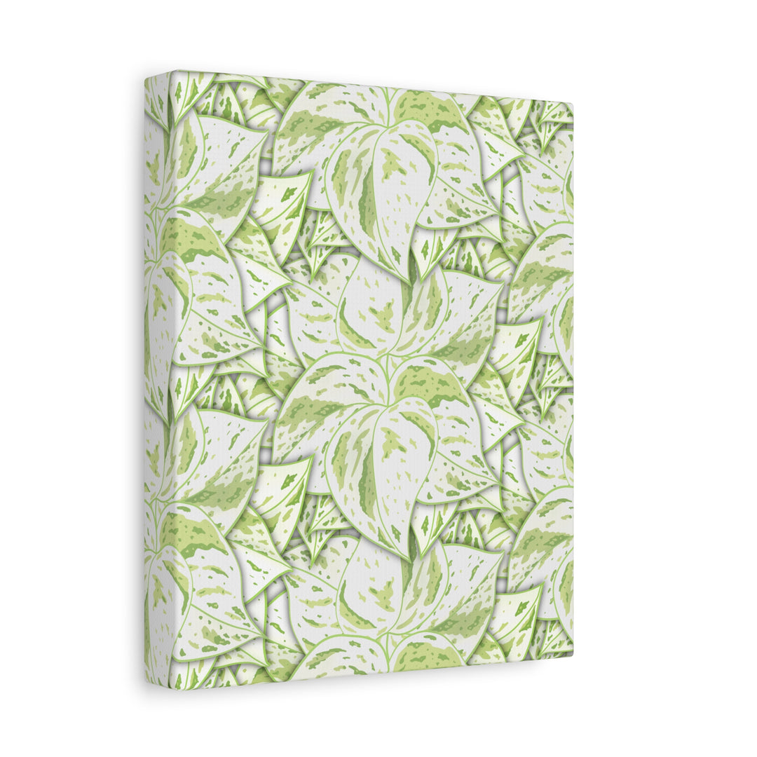 Snow Queen Pothos Canvas Print With Variegated White Leaves In Matte Finish For Modern Home Decor