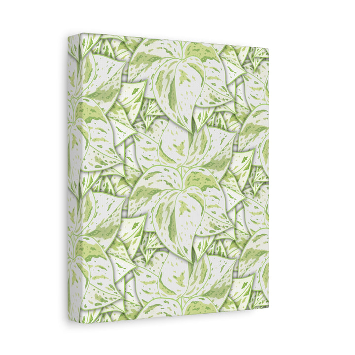 Snow Queen Pothos Canvas Print With Variegated White Leaves In Matte Finish For Modern Home Decor
