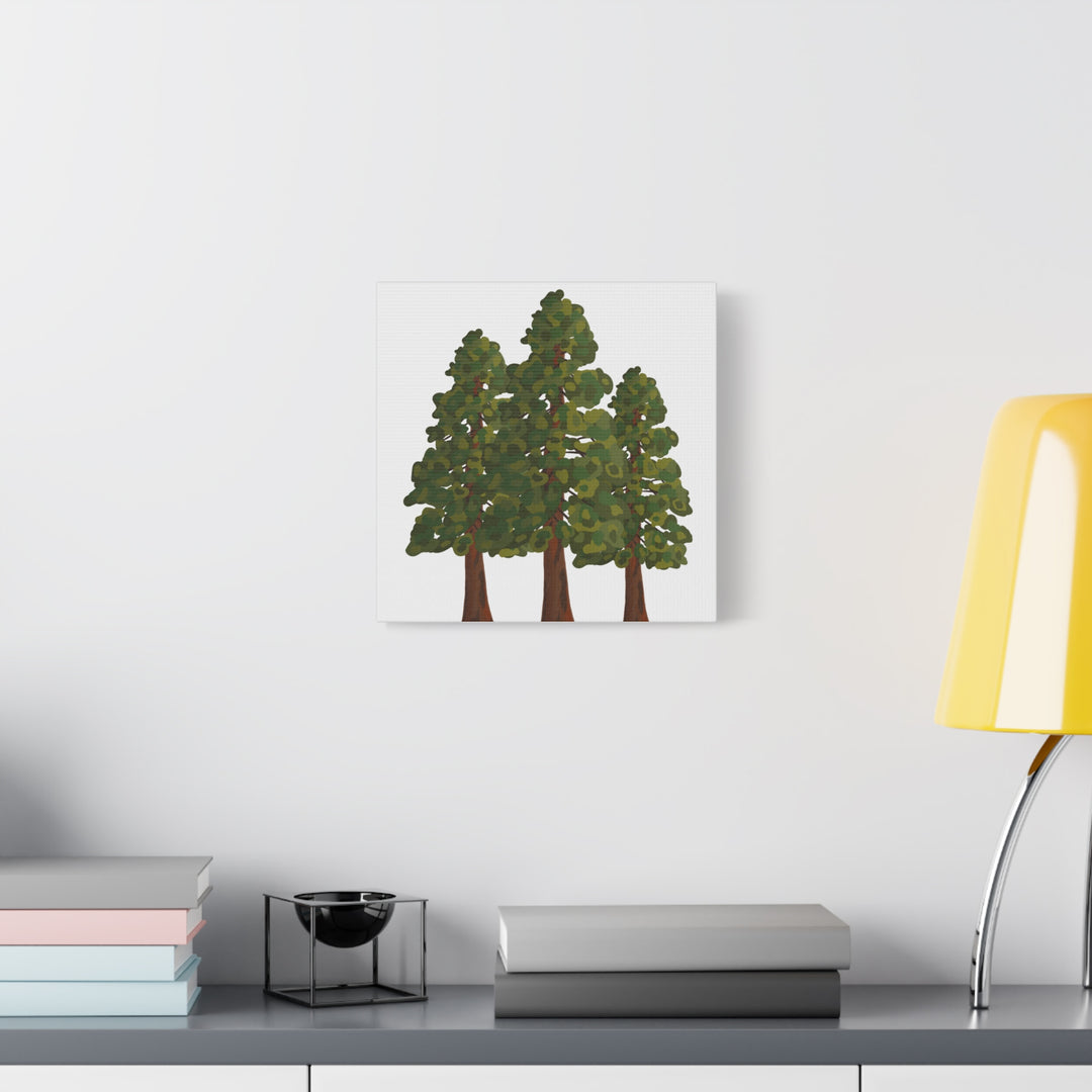Coastal Redwoods Matte Canvas Print On 1.25 Inch Stretched Canvas For Serene Forest Wall Art In Living Rooms
