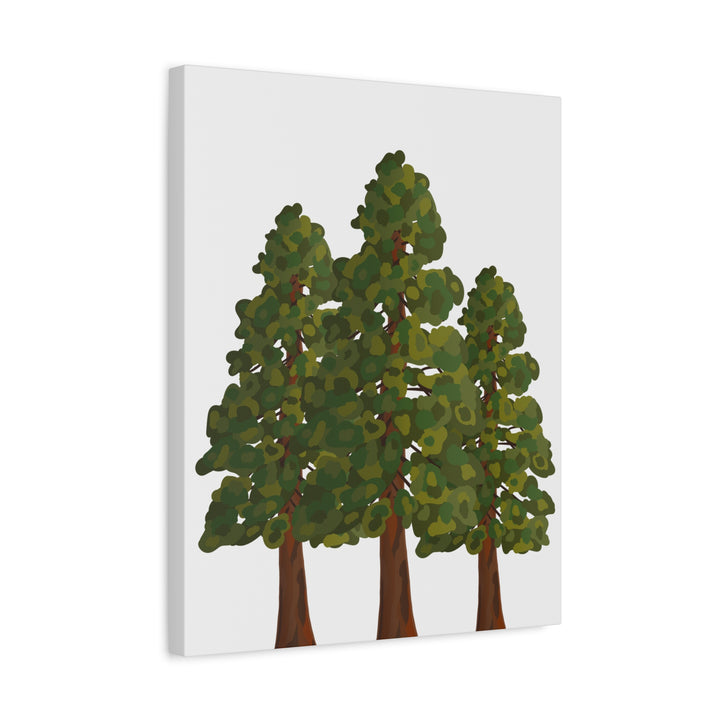 Coastal Redwoods Matte Canvas Print On 1.25 Inch Stretched Canvas For Serene Forest Wall Art In Living Rooms