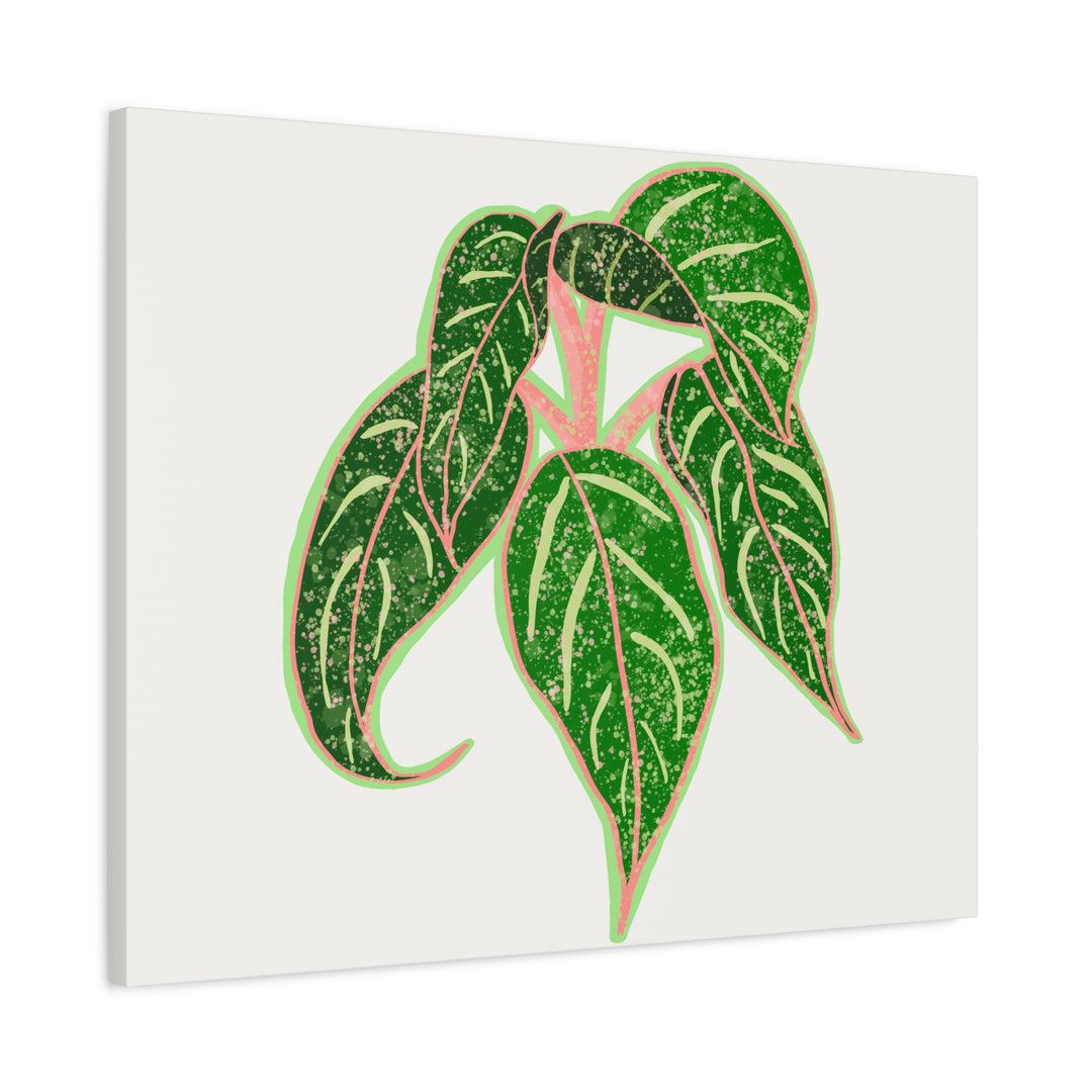 Aglaonema Sparkling Sarah Botanical Canvas Print On Matte Stretch Canvas For Modern Living Room Decor