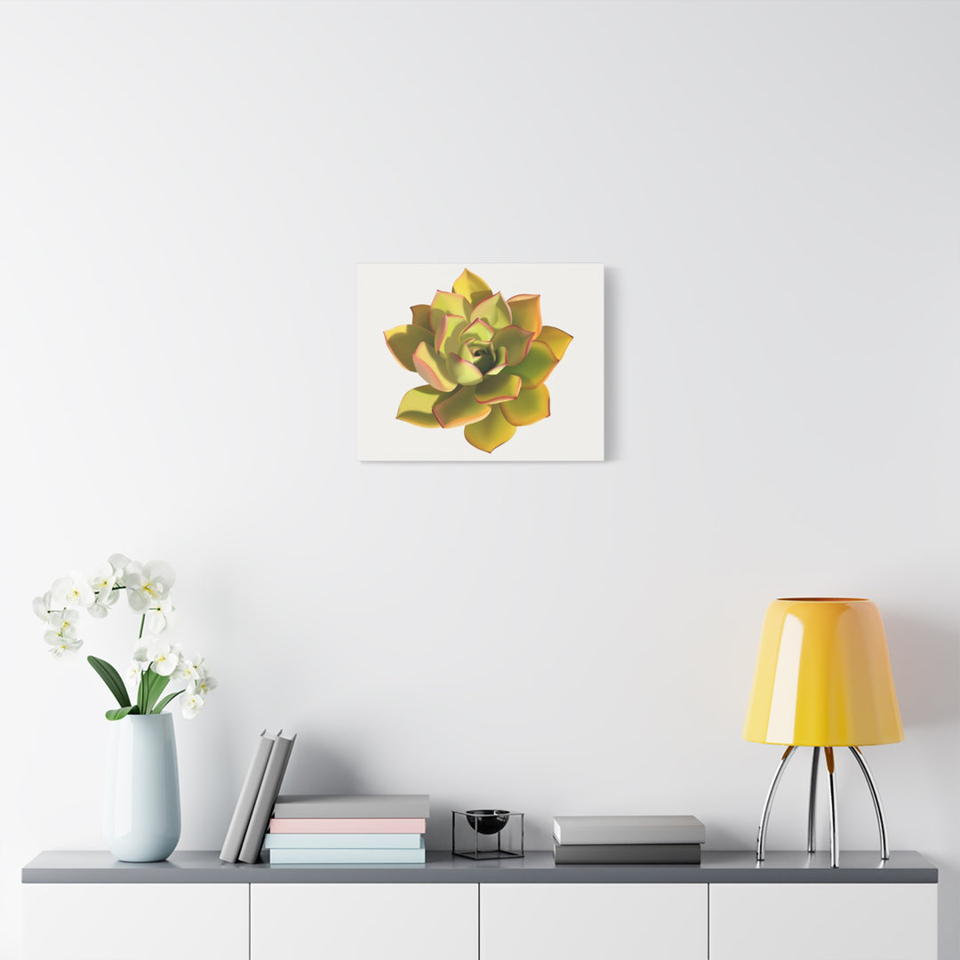 Noble Aeonium Succulent Canvas Wall Art Print for Modern Home Decor by The Potted Pixel