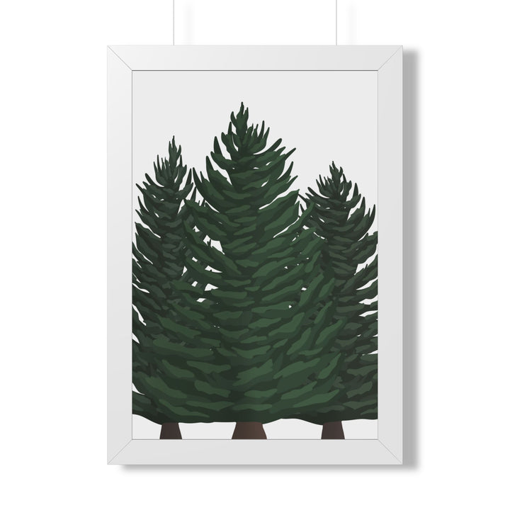 Douglas Fir Framed Print – Wall Art