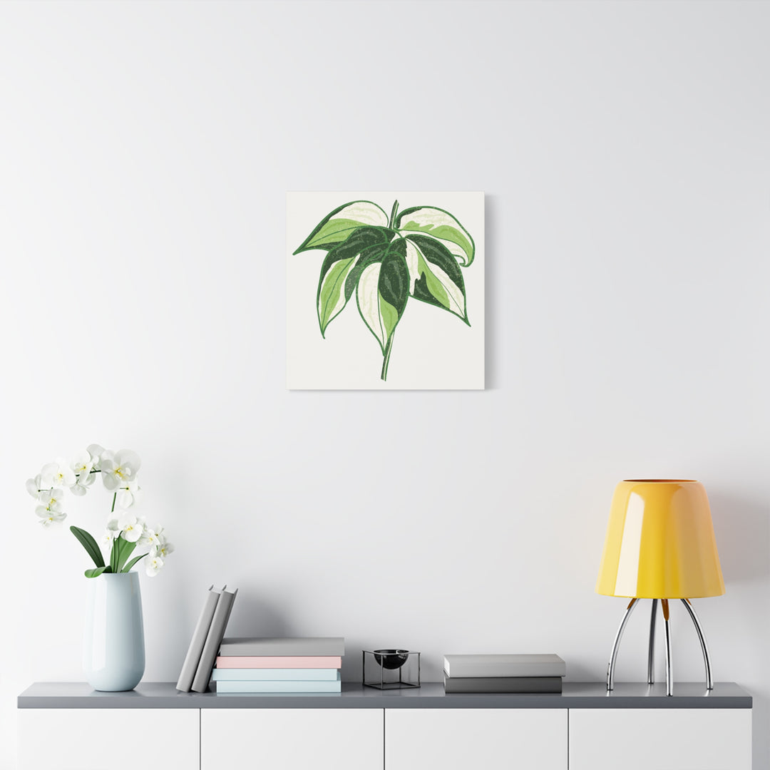 Philodendron Canvas Print Cream Splash Variegated Plant Art On Matte Cotton Canvas For Home Wall Decor