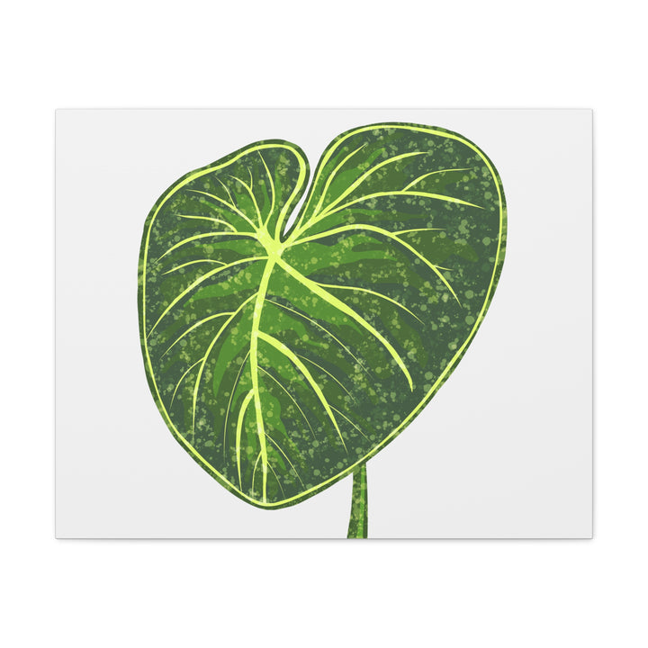 Philodendron Gloriosum Canvas Print Stretched Wall Art Botanical Leaf Print Matte Finish Gallery Wrapped Canvas