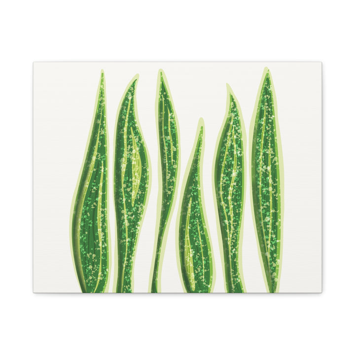 Snake Plant Canvas Print Matte 1.25 Inch Stretch Canvas Wall Art For Living Room Decor