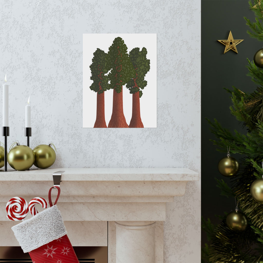 Giant Sequoias Print – Unframed Wall Art