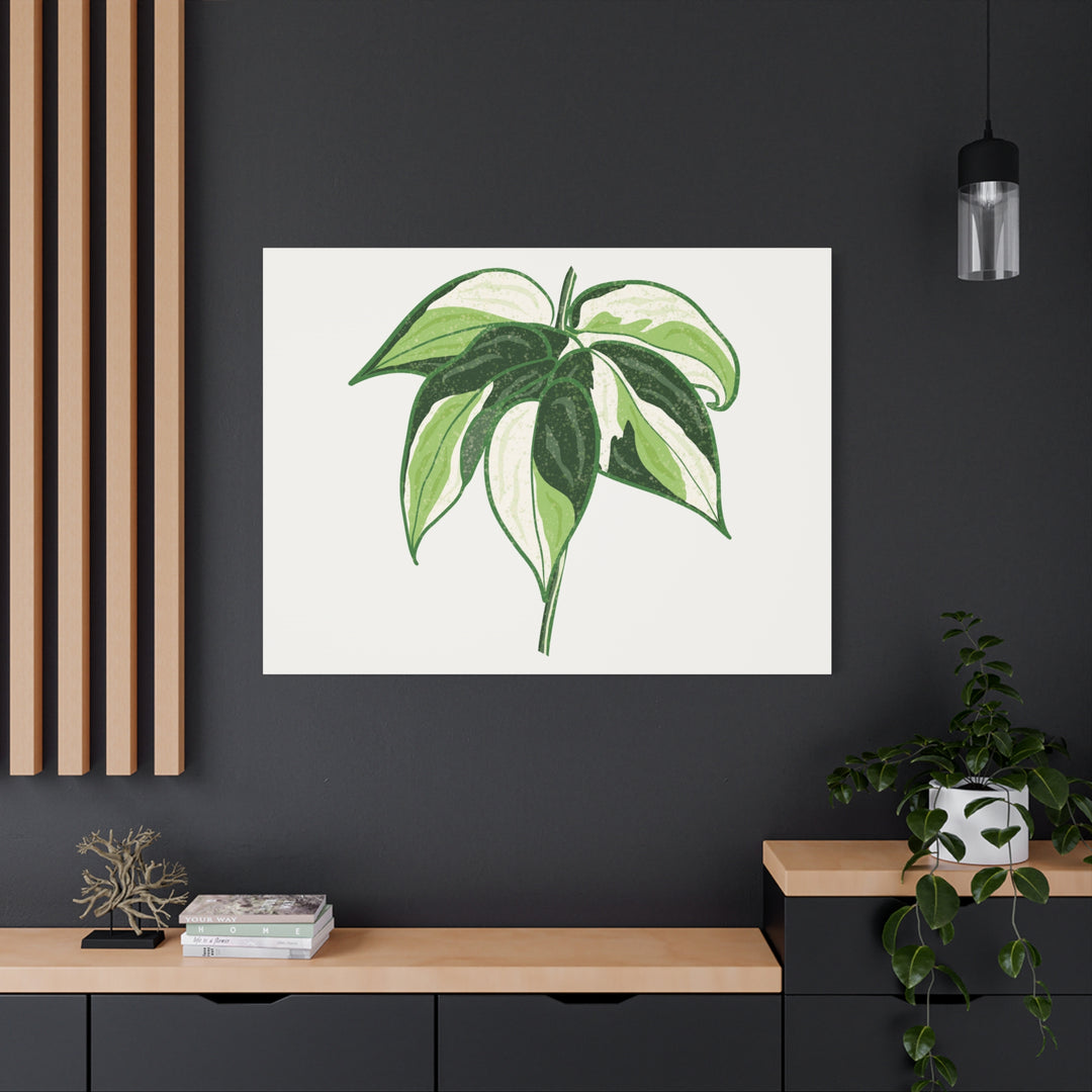 Philodendron Canvas Print Cream Splash Variegated Plant Art On Matte Cotton Canvas For Home Wall Decor