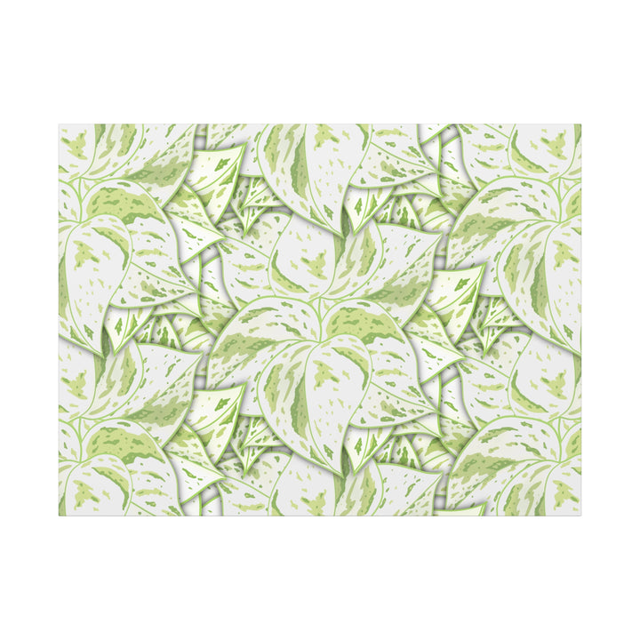 Snow Queen Pothos Canvas Print With Variegated White Leaves In Matte Finish For Modern Home Decor