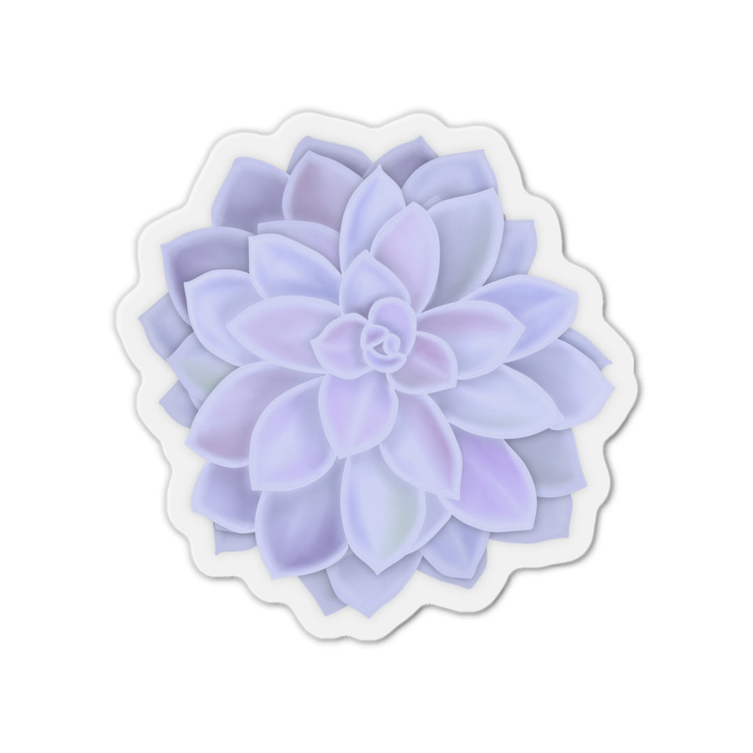 Graptopetalum Murasaki Succulent Magnet