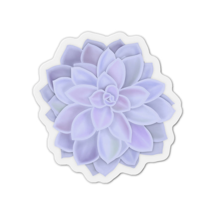 Graptopetalum Murasaki Succulent Magnet