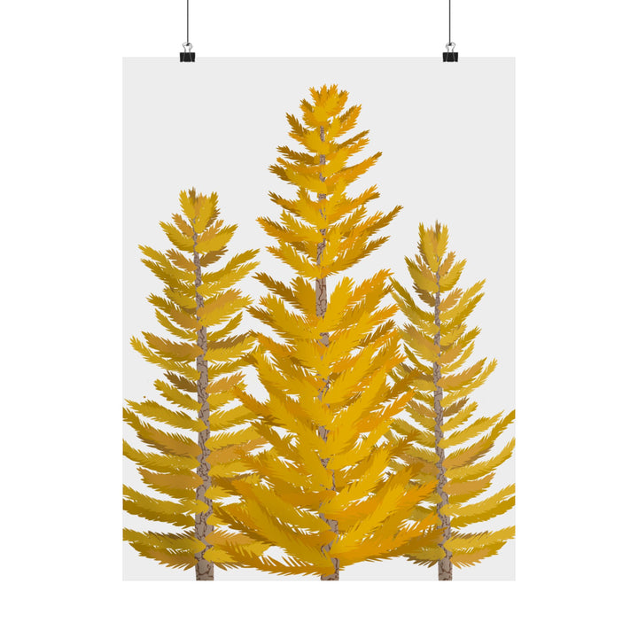Western Larch Print – Unframed Wall Art