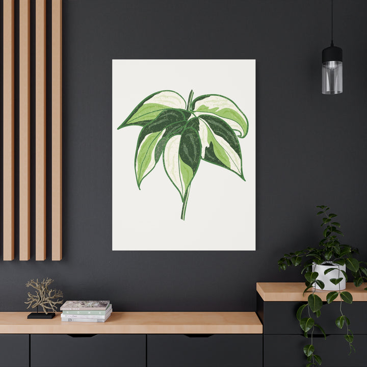 Philodendron Canvas Print Cream Splash Variegated Plant Art On Matte Cotton Canvas For Home Wall Decor