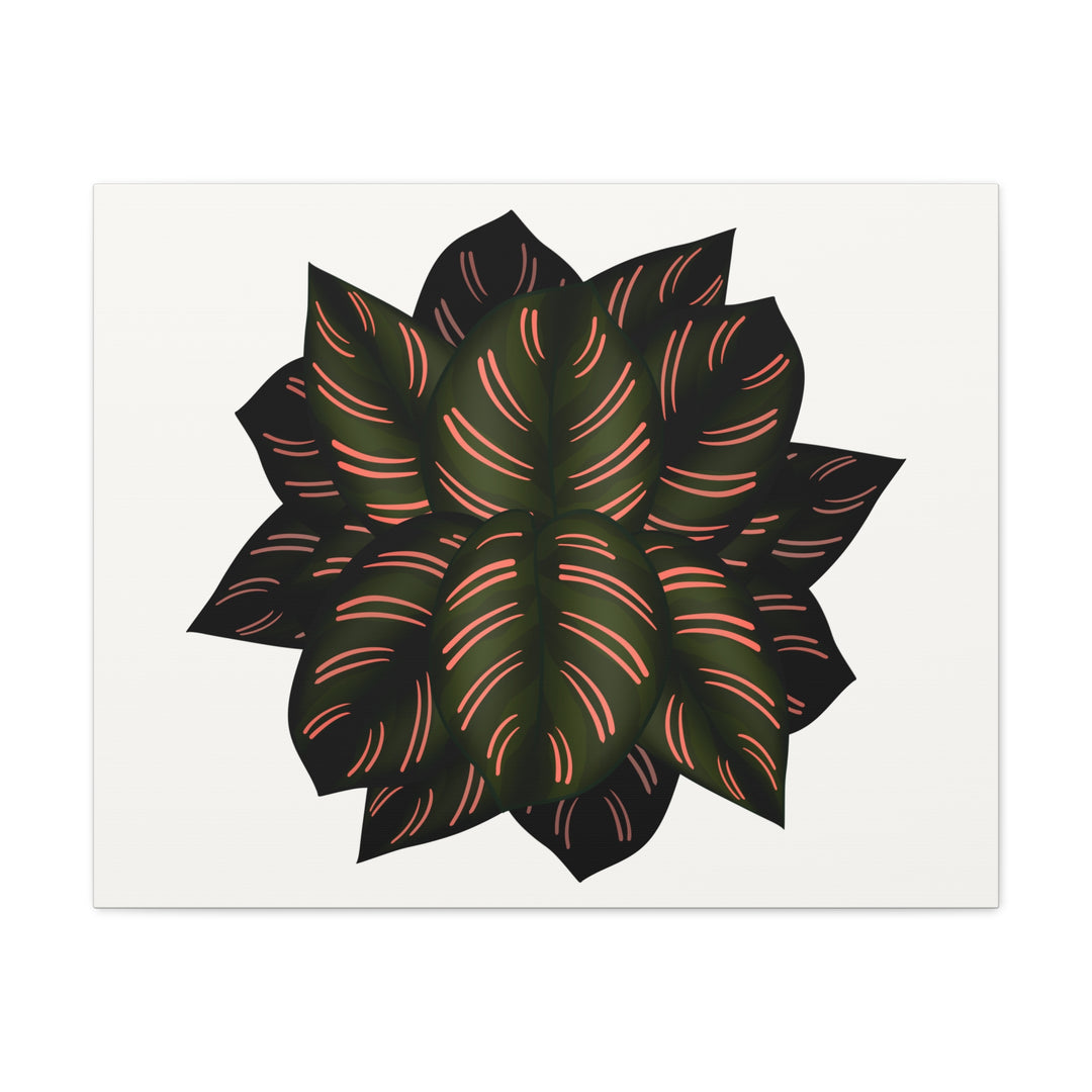 Calathea Pinstripe Canvas Botanical Wall Art Print On Stretched Cotton Canvas For Living Room Decor