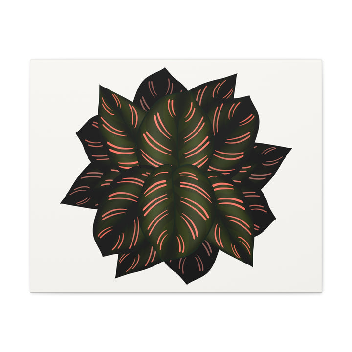Calathea Pinstripe Canvas Botanical Wall Art Print On Stretched Cotton Canvas For Living Room Decor