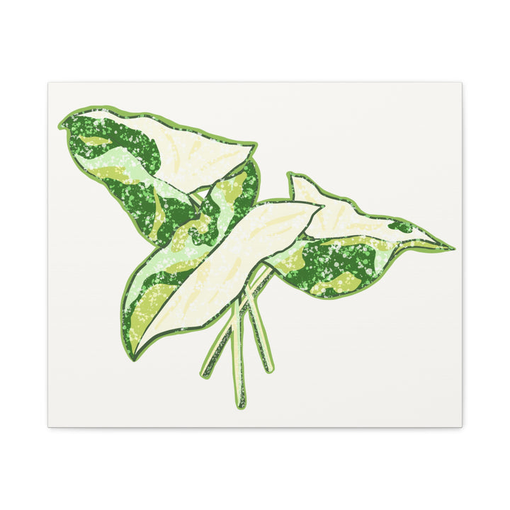 Marble Syngonium Canvas Botanical Wall Art Stretched Print On Durable Cotton Canvas Matte Finish