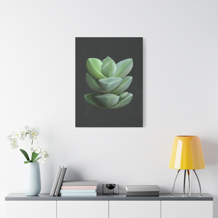 Crassula Canvas Print – Botanical Wall Art