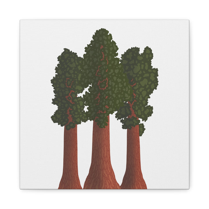 Giant Sequoias Canvas Print – Wall Art