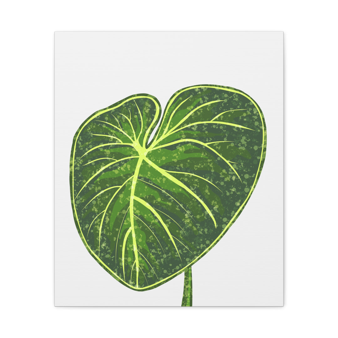 Philodendron Gloriosum Canvas Print Stretched Wall Art Botanical Leaf Print Matte Finish Gallery Wrapped Canvas
