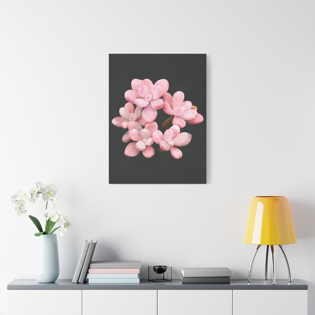 Pink Moonstone Canvas Print – Botanical Wall Art